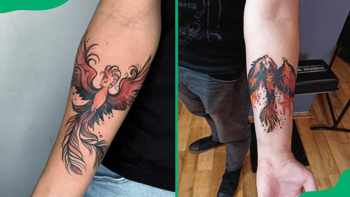 Phoenix forearm tattoos Phoenix forearm tattoos