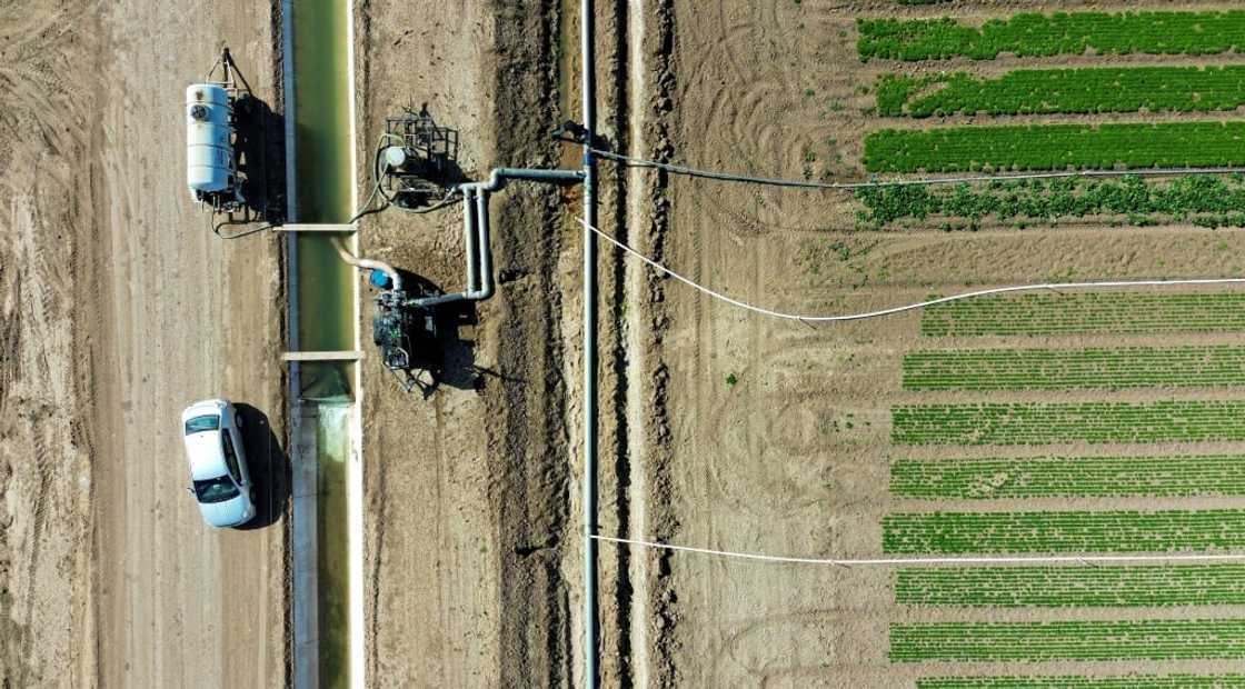 Farmers realized Imperial Valley's permanent sunshine would allow it to produce crops year-round, as long as they could keep the fields watered Farmers realized Imperial Valley's permanent sunshine would allow it to produce crops year-round, as long as they could keep the fields watered