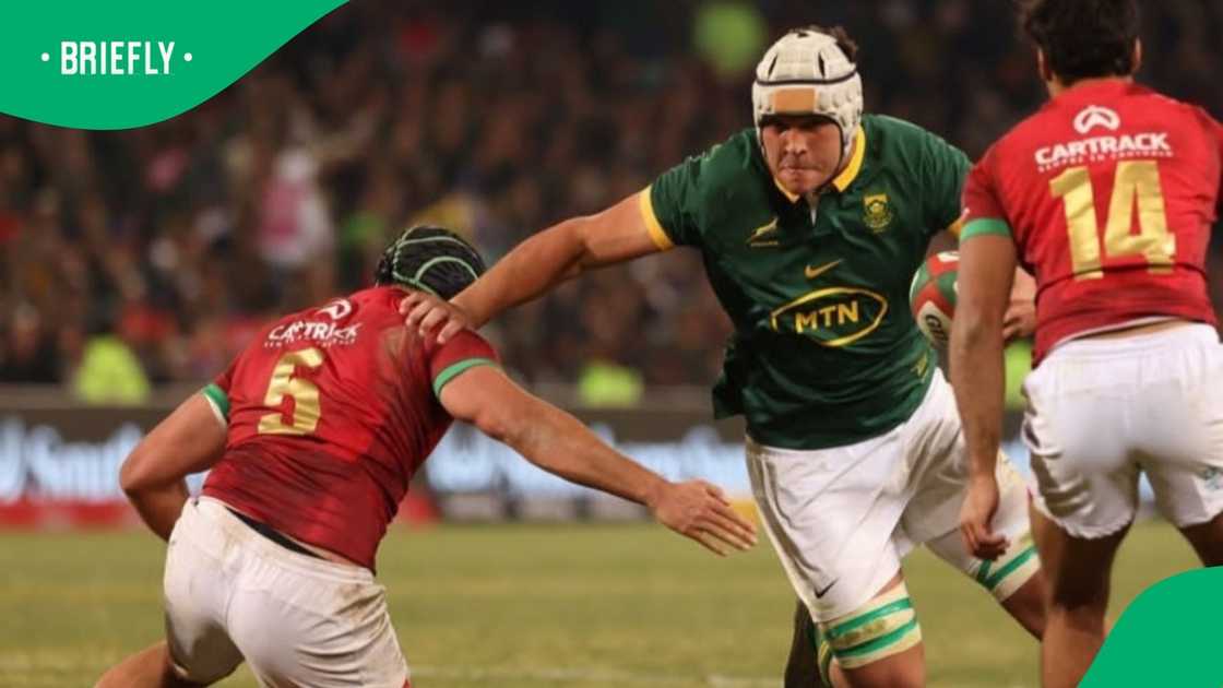 Springboks, Ruan Venter, South Africa