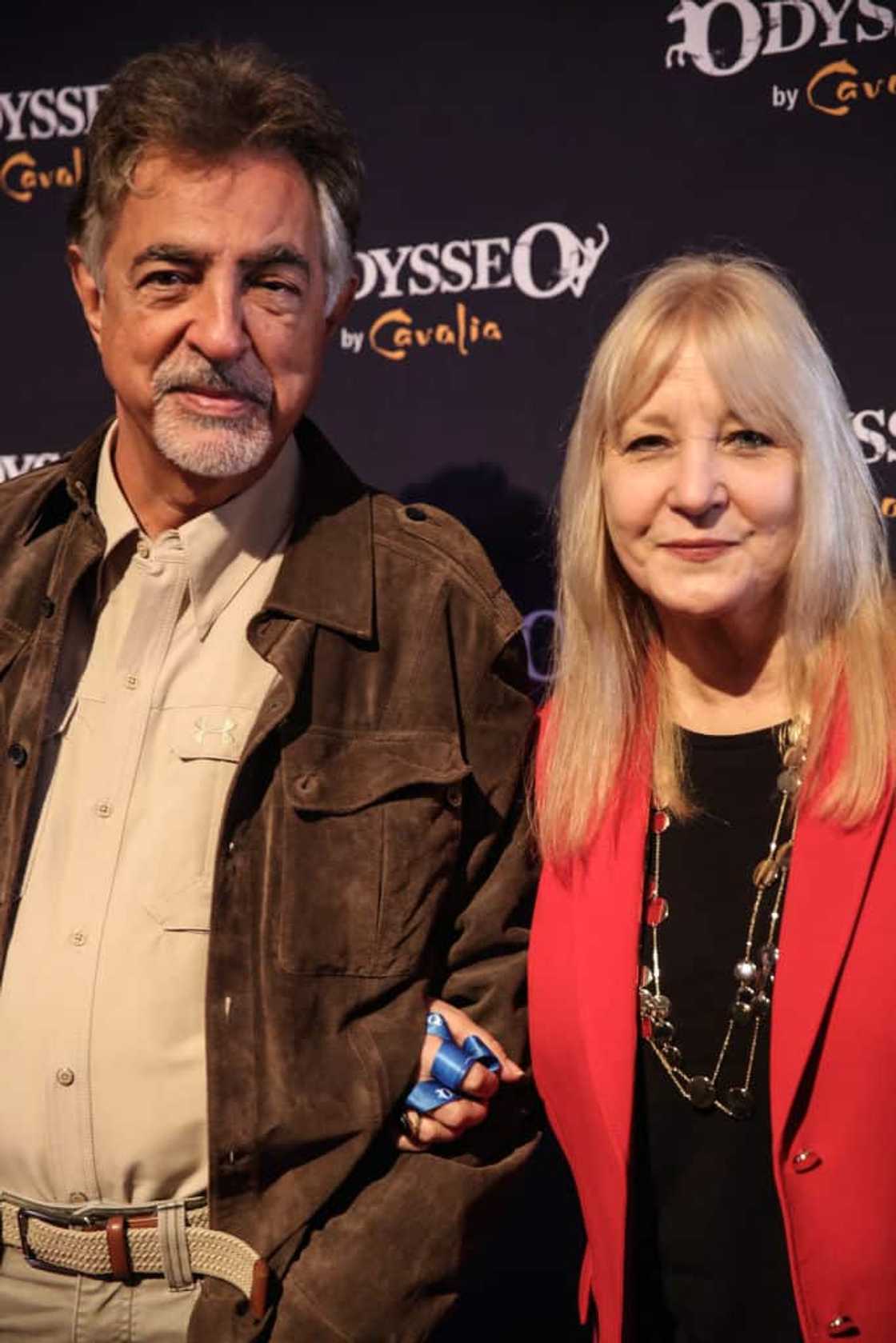 Joe Mantegna’s wife Joe Mantegna’s wife