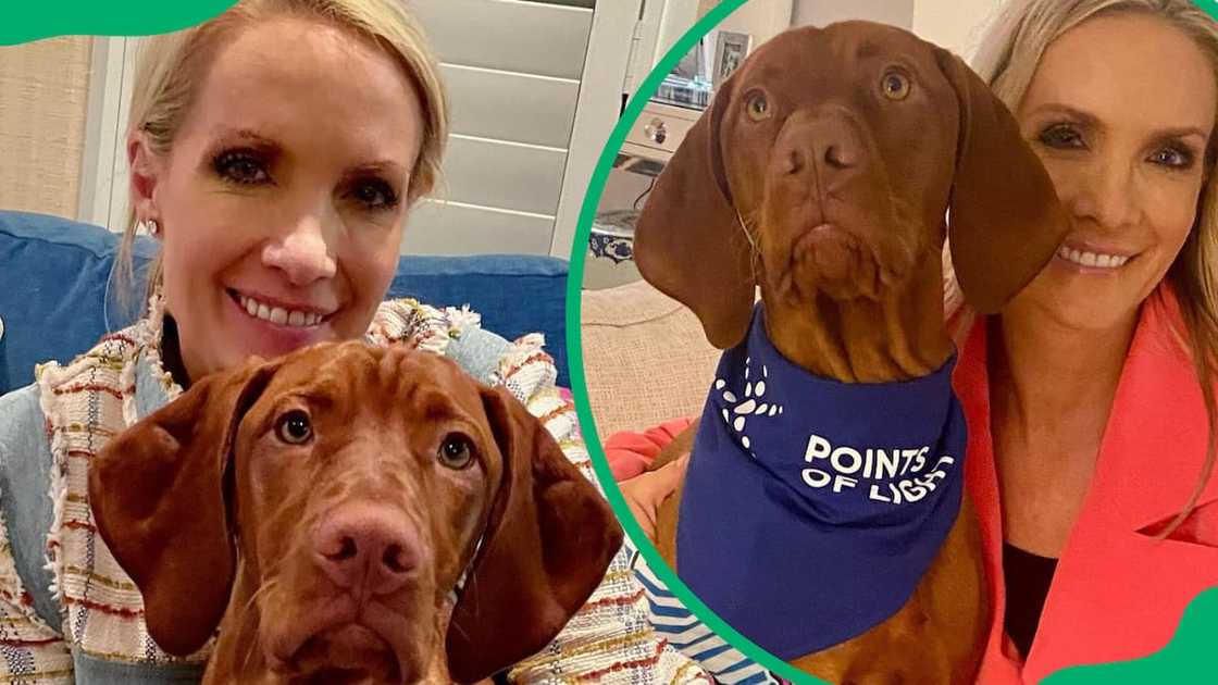 Dana Perino with her pet Dana Perino with her pet