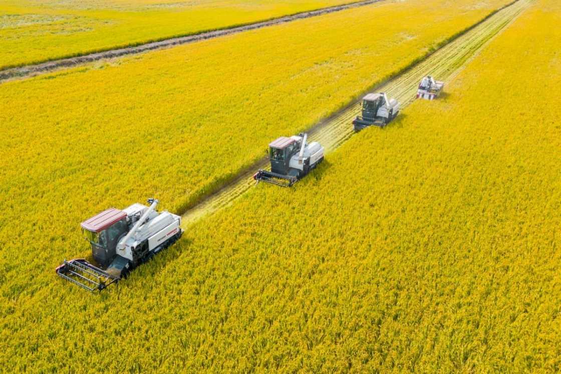 China's economy grew more than expected in the third quarter, but the reading was still below target China's economy grew more than expected in the third quarter, but the reading was still below target
