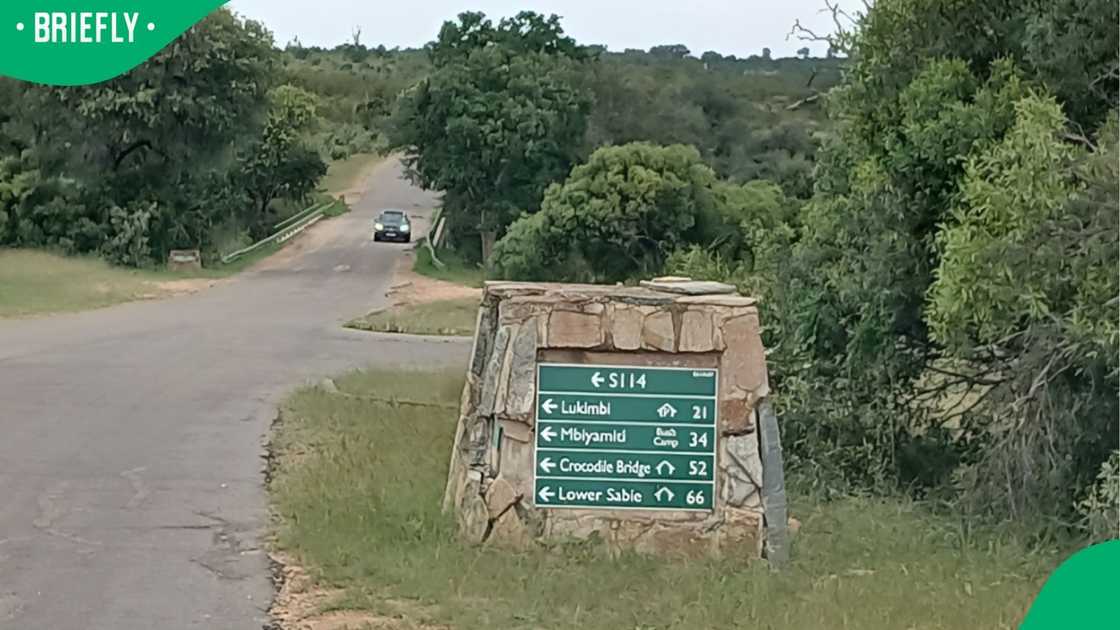 A search was conducted in several areas of the Kruger National Park for the helicopter and crew