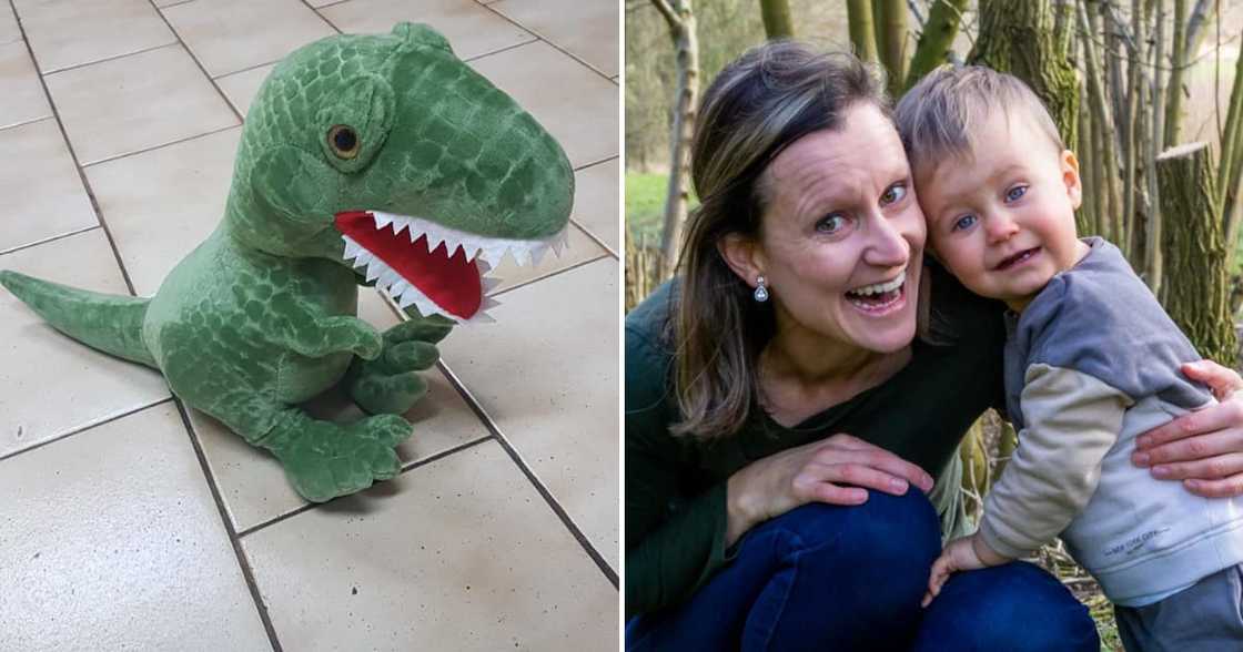 A warm-hearted lady bought a plush dinosaur for a friendly waitress' son A warm-hearted lady bought a plush dinosaur for a friendly waitress' son