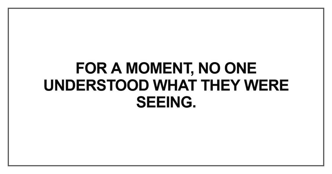 For a moment, no one understood For a moment, no one understood