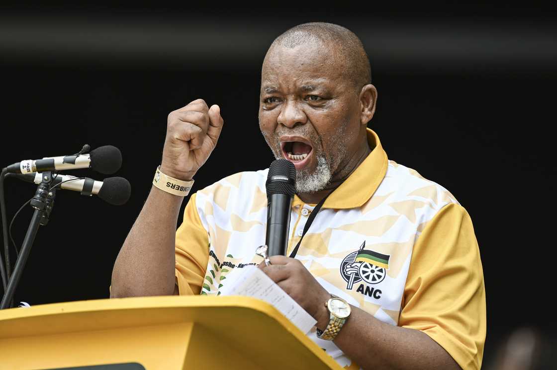 Gwede Mantashe has labelled AfriForum's actions as an attack on the country.