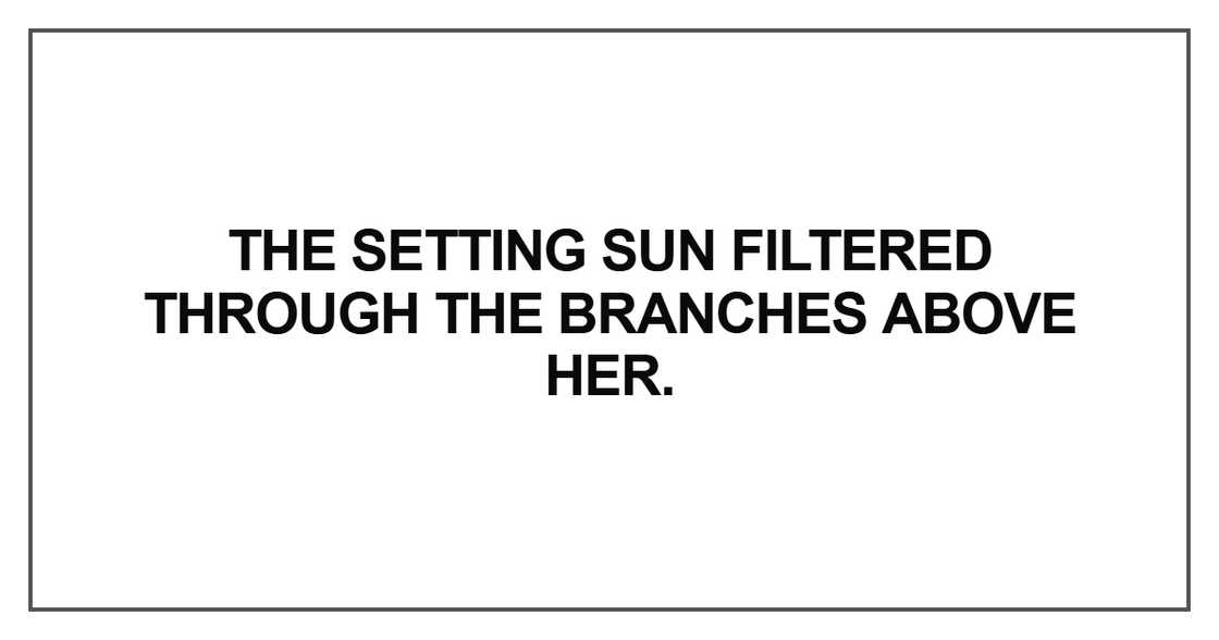 The setting sun filtered through