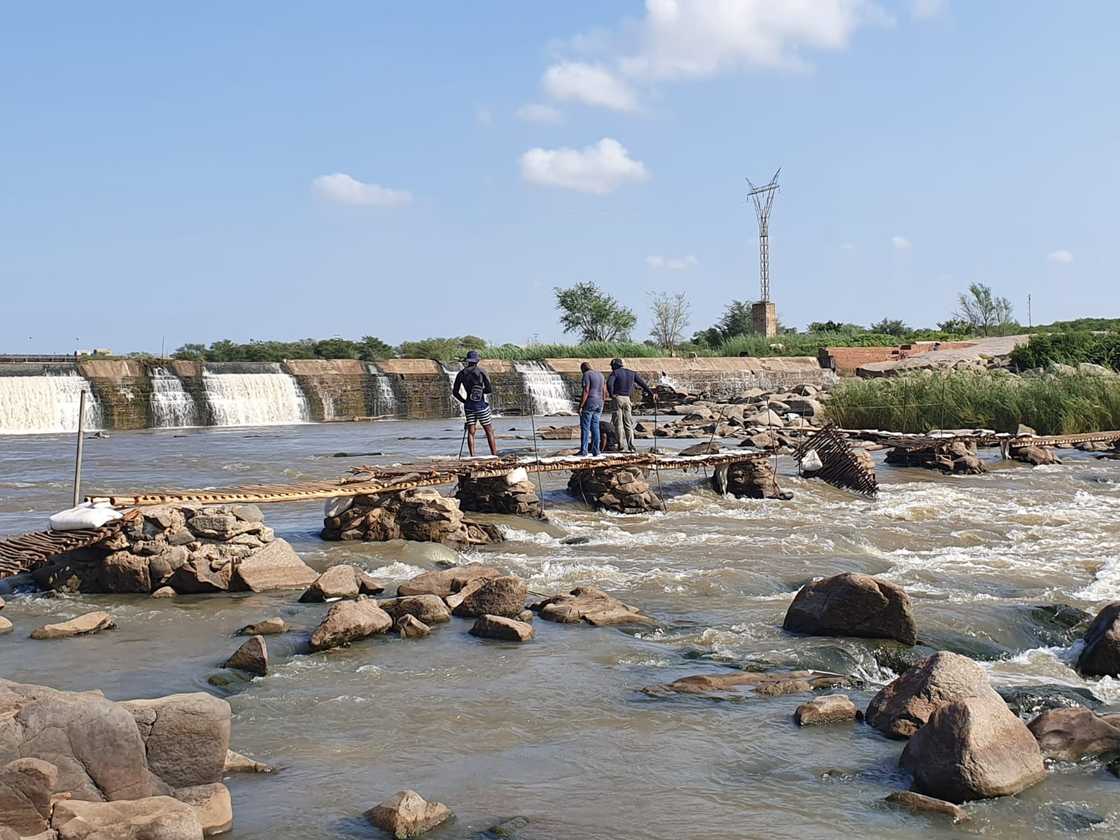 The makeshift bridge over the Limpopo River used by criminals.