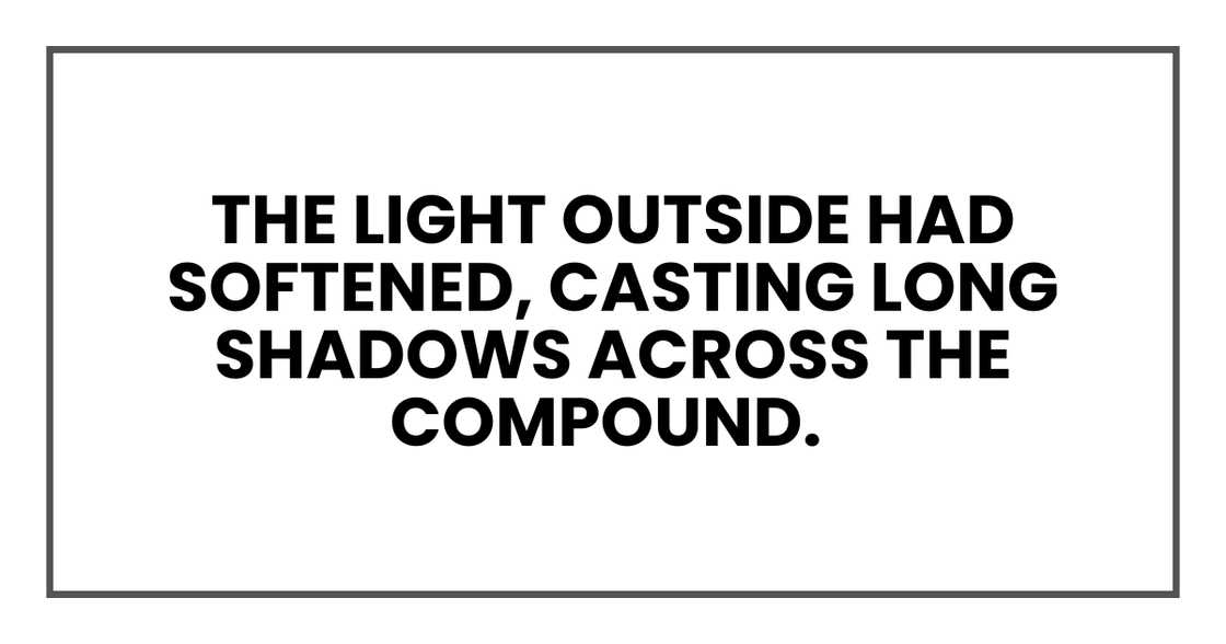 THE LIGHT OUTSIDE HAD SOFTENED