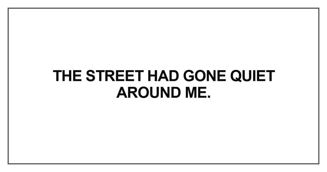 The street had gone