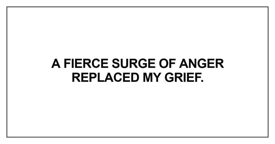 A fierce surge of anger replaced my grief