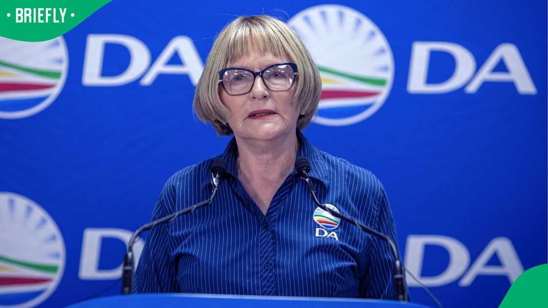 Helen Zille will go up against Herman Mashaba