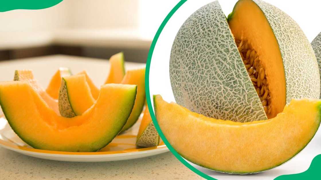 How to pick a good cantaloupe How to pick a good cantaloupe
