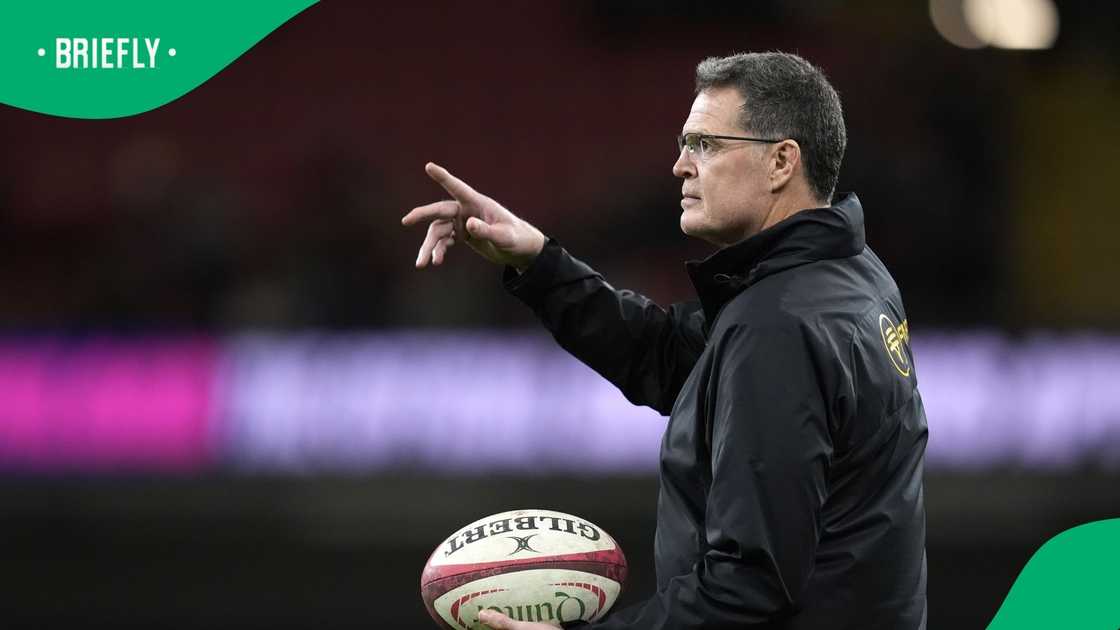 Springboks, South Africa, Rassie Erasmus