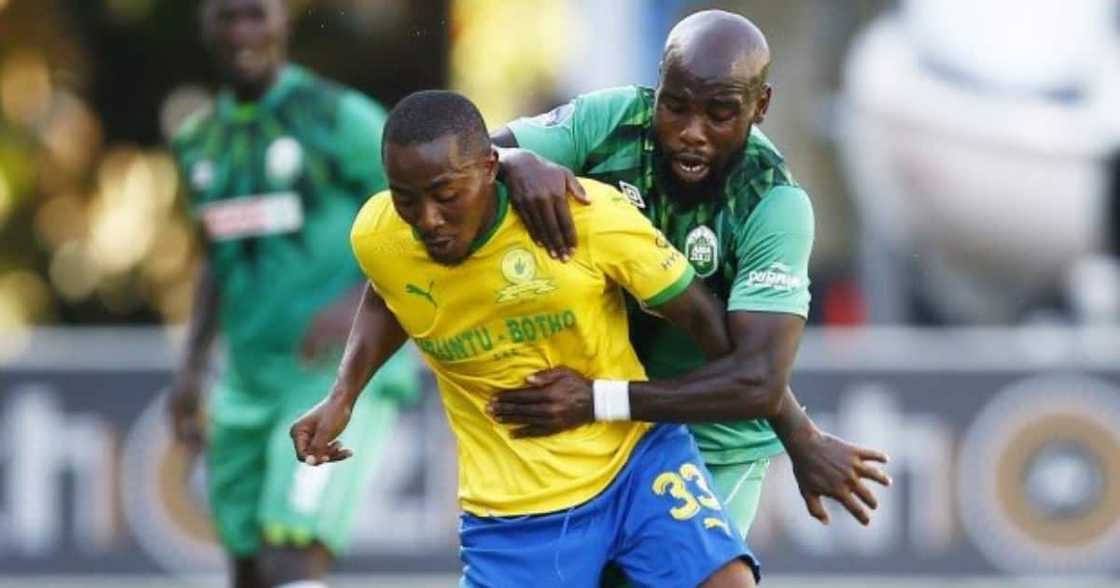Kaizer Chiefs, AmaZulu, dead snake, DStv Premiership, PSL Kaizer Chiefs, AmaZulu, dead snake, DStv Premiership, PSL