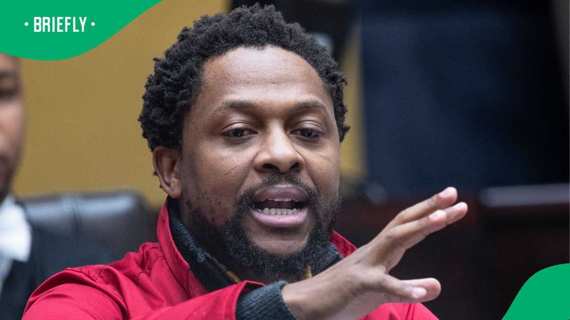 Mbuyiseni Ndlozi warns South Africa against Paul O'Sullivan and Mary de Haas Mbuyiseni Ndlozi warns South Africa against Paul O'Sullivan and Mary de Haas