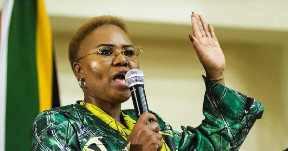 Lindiwe Zulu praises R350 SRD grant Lindiwe Zulu praises R350 SRD grant
