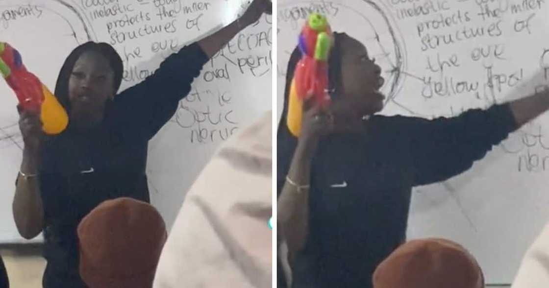 Life Sciences educator trends for creative teaching method. Life Sciences educator trends for creative teaching method.