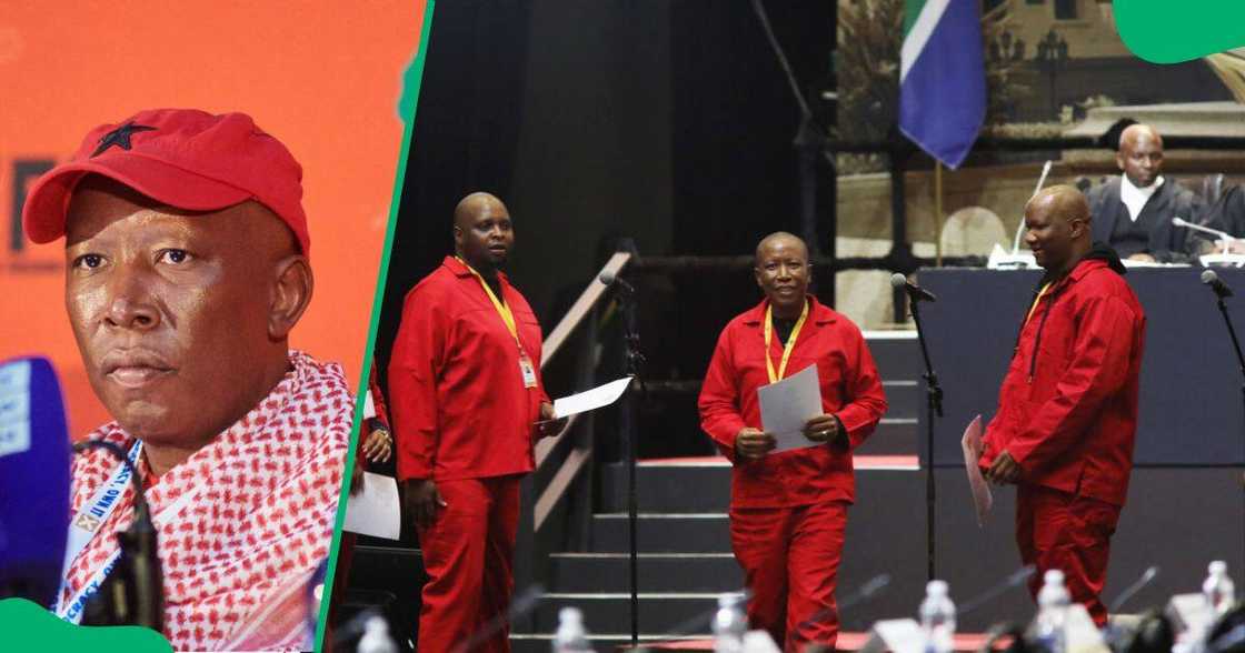 The EFF's Julius Malema is not interested in a government of national unity with the DA and FF Plus The EFF's Julius Malema is not interested in a government of national unity with the DA and FF Plus