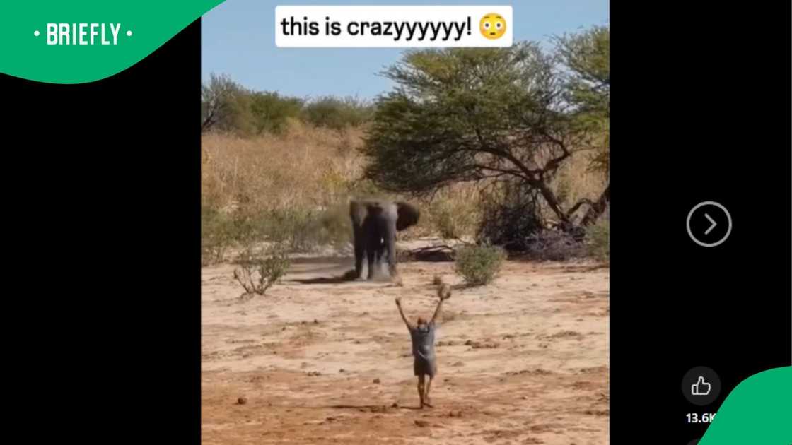 A video went viral, showing a man's bravery.