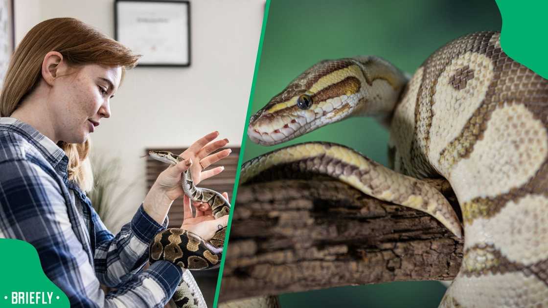 A man's post went viral. A man's post went viral.