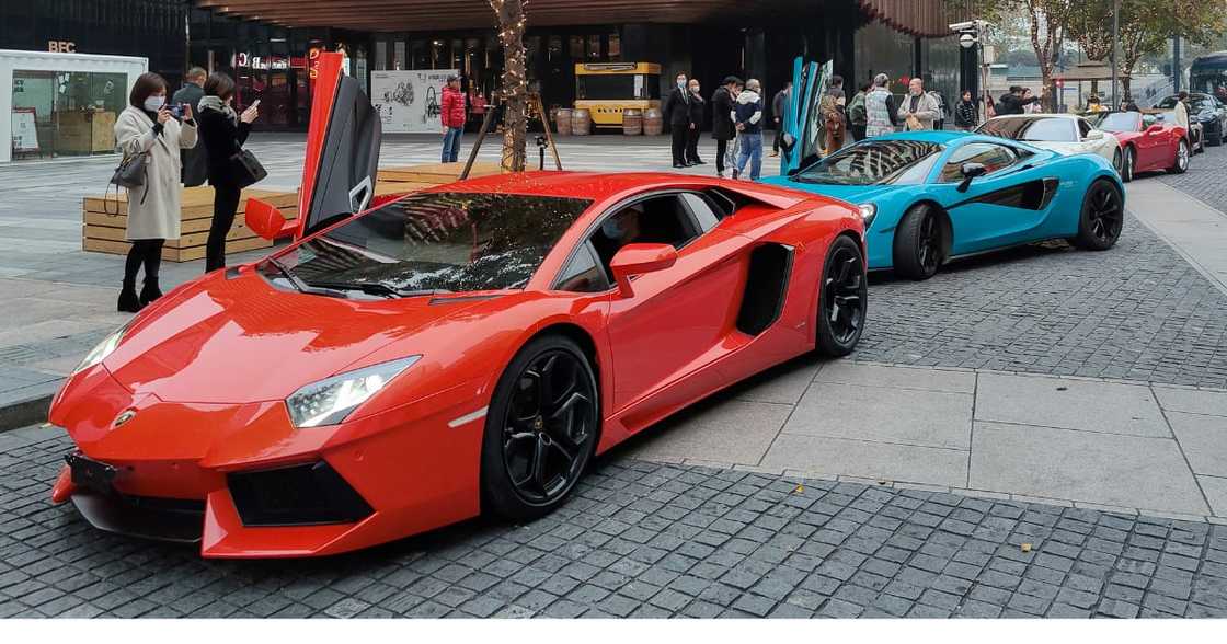 Call for lifestyle audits from SARS on citizens living a luxurious life Call for lifestyle audits from SARS on citizens living a luxurious life