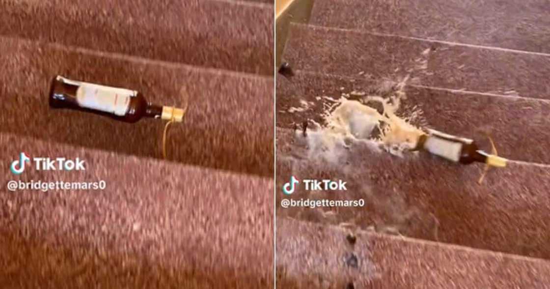 TikTok video of woman breaking different brands of alcohol TikTok video of woman breaking different brands of alcohol