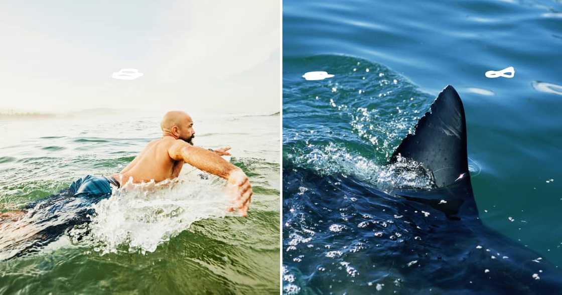 Russian man killed by shark in Egypt Russian man killed by shark in Egypt