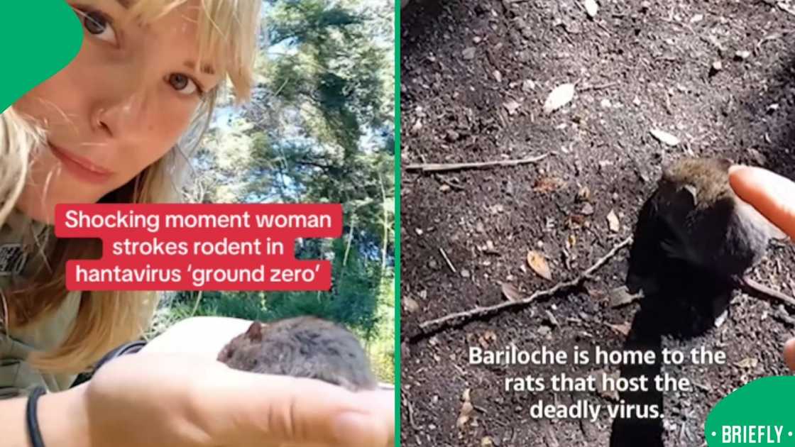 The visual on the right captured the rodent on the ground