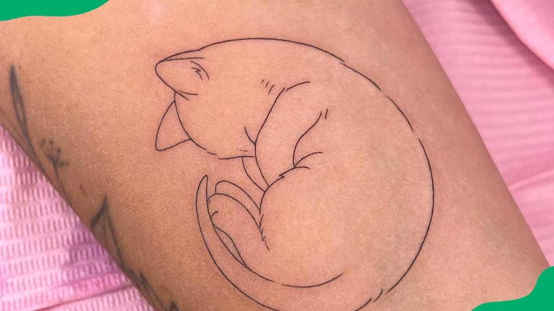 Curled up cat tattoo