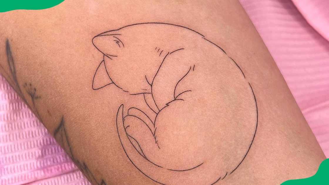 Curled up cat tattoo Curled up cat tattoo