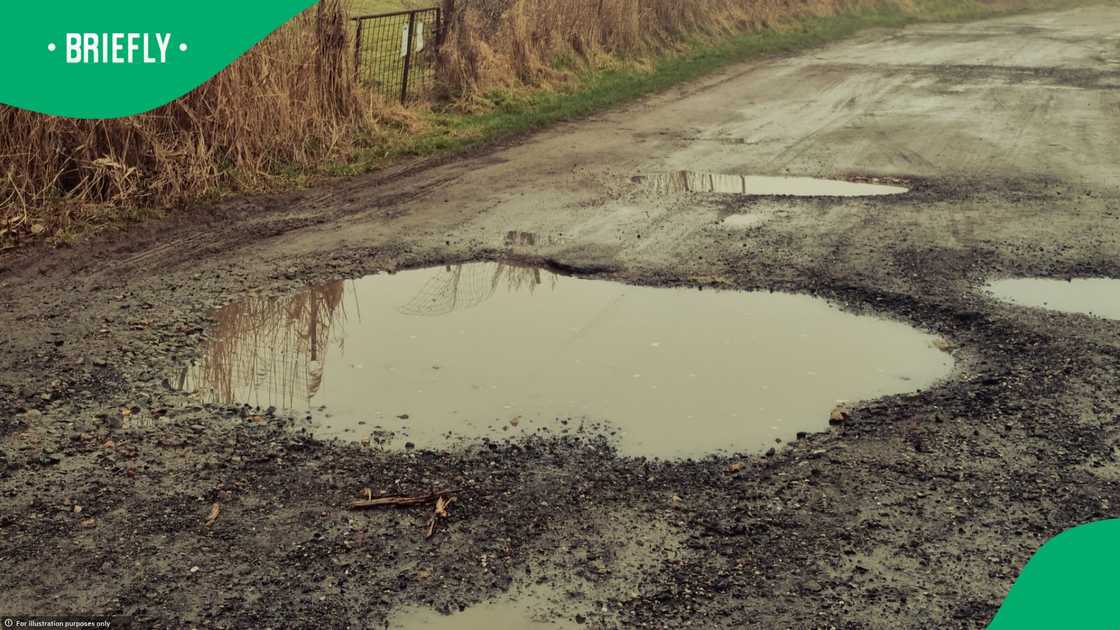 Cars South Africa shows best solution for potholes after Elon Musk's flying car demo