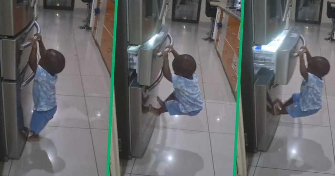 TikTok video of little boy opening fridge by geniously using his weight TikTok video of little boy opening fridge by geniously using his weight