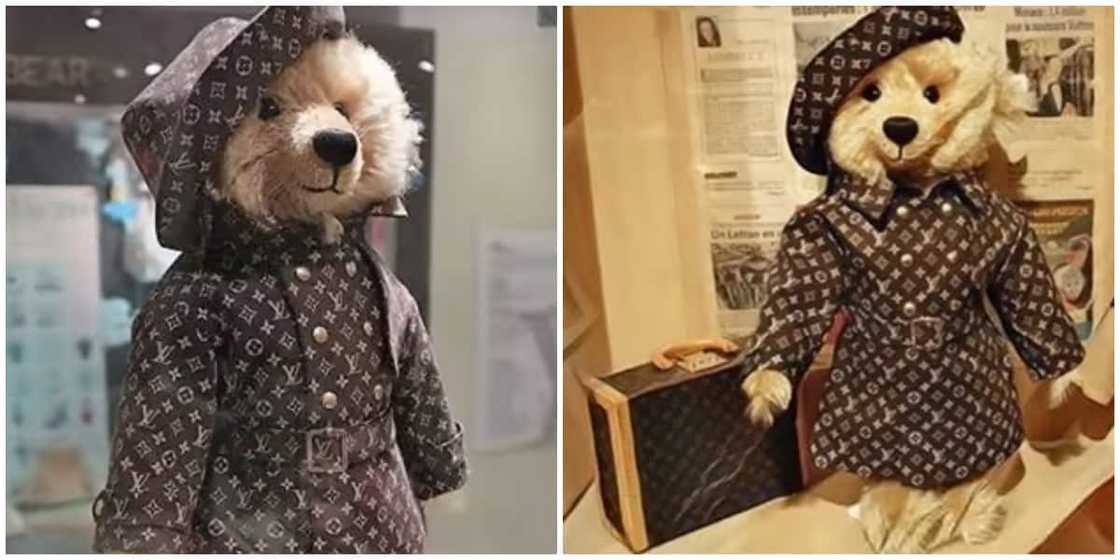 Photos of teddy bear in Louis Vuitton trench coat. Photos of teddy bear in Louis Vuitton trench coat.