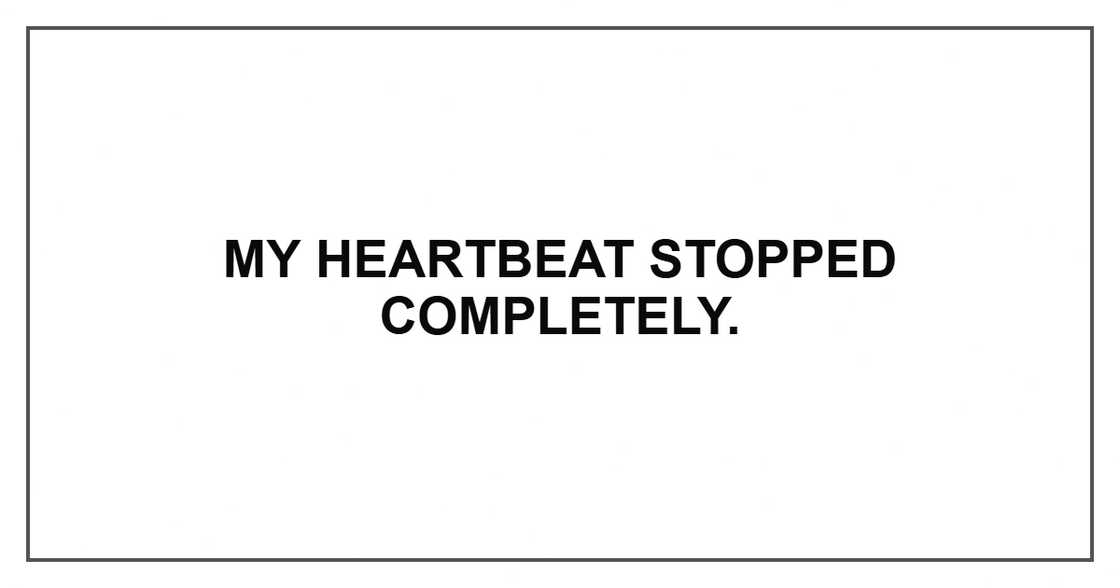 My heartbeat stopped completely.
