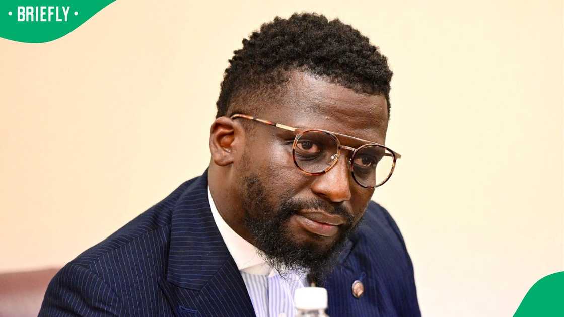 Ashley Sauls criticised the Ad Hoc Committee hearings