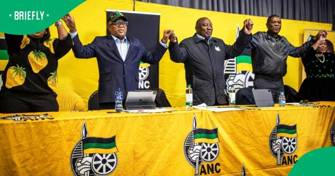 The African National Congress adopted a government of national unity The African National Congress adopted a government of national unity