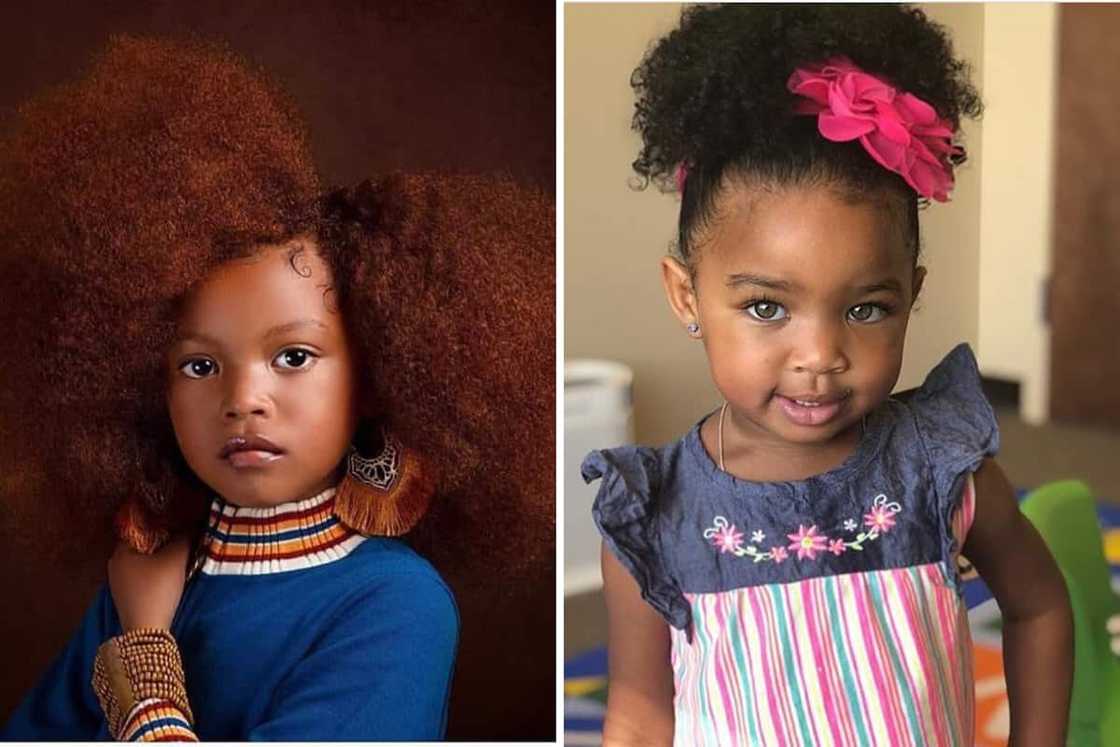 Black toddler hairstyles and haircuts