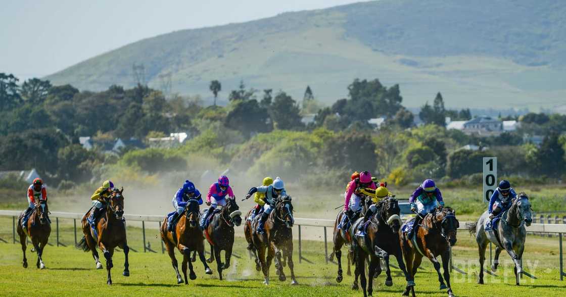 Hollywoodbets sponsors Cape Racing Hollywoodbets sponsors Cape Racing