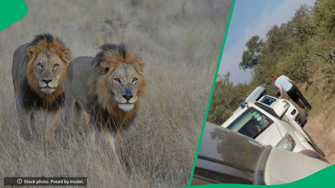 Man breaks Kruger National Park rules