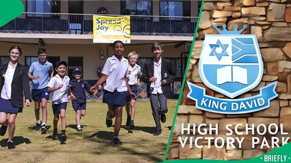 King David School King David School
