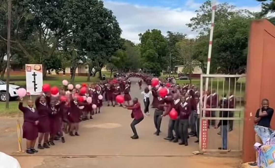 School pupils in KwaZulu-Natal formed a guard of honour for Simesihle Khuzwayo, who was part of the Class of 2025’s top matric learners. School pupils in KwaZulu-Natal formed a guard of honour for Simesihle Khuzwayo, who was part of the Class of 2025’s top matric learners.