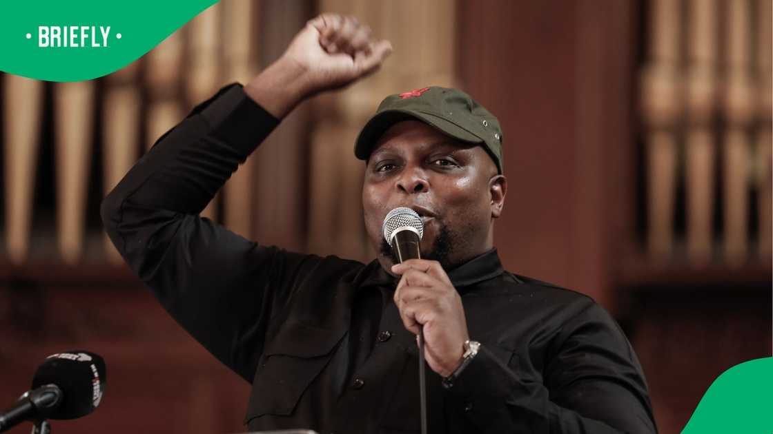 Shivambu rejected claims of copying the EFF logo