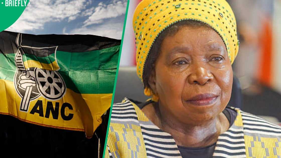 Dlamini Zuma