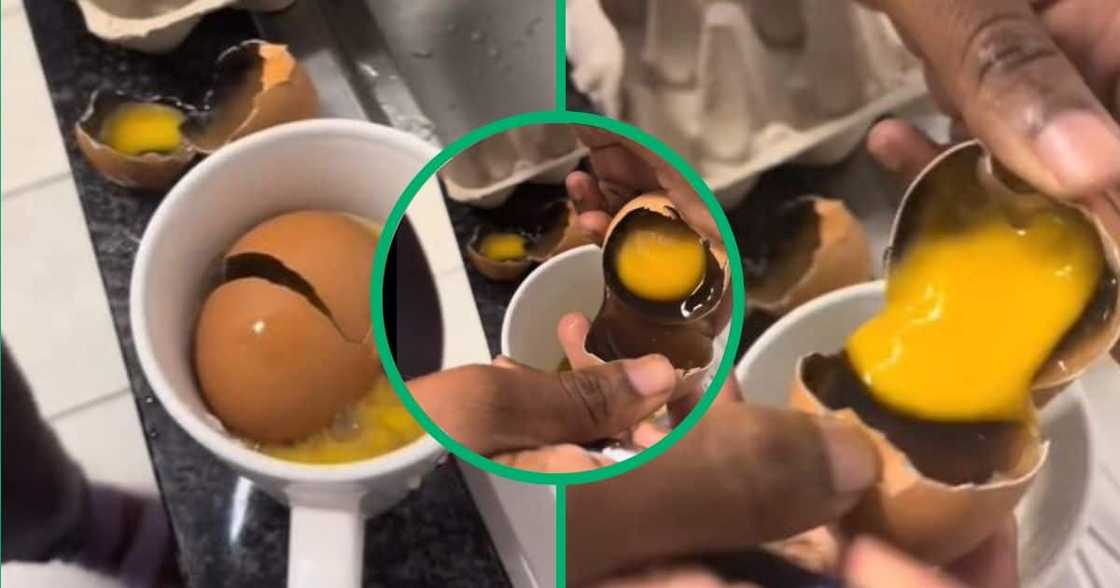 TikTok video of bad eggs from Pick 'n Pay