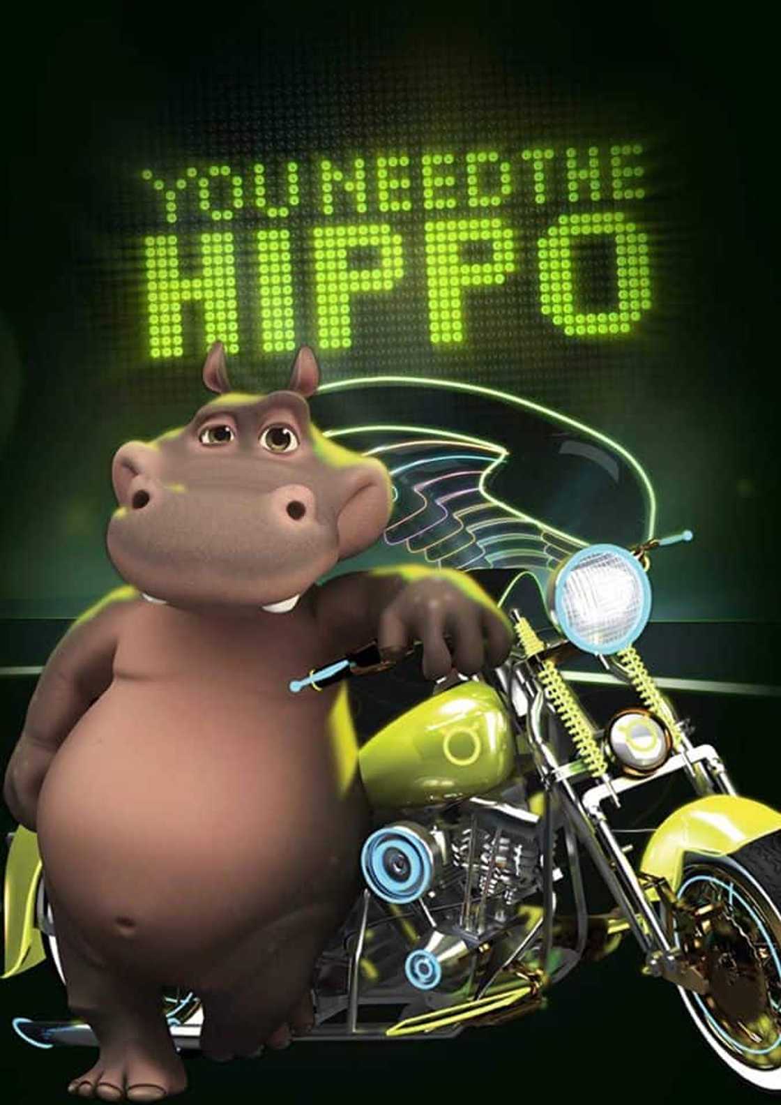 Hippo travel insurance Hippo travel insurance