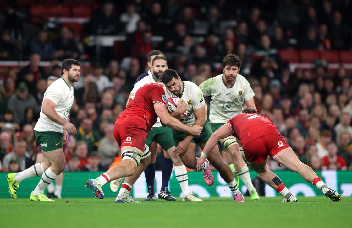 Springboks, South Africa, Damian de Allende, Wales, Quilter Nations Series 2025