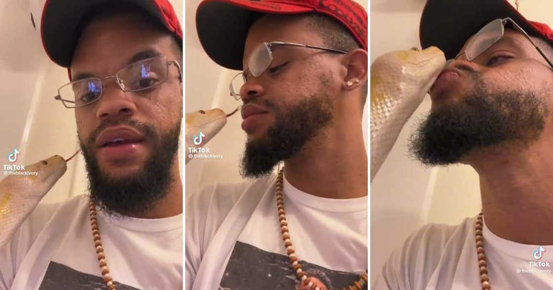 TikTok video of a US man kissing a Burmese python TikTok video of a US man kissing a Burmese python