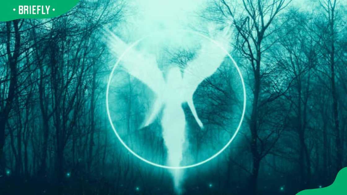 A mystical fantasy concept of a guardian angel A mystical fantasy concept of a guardian angel