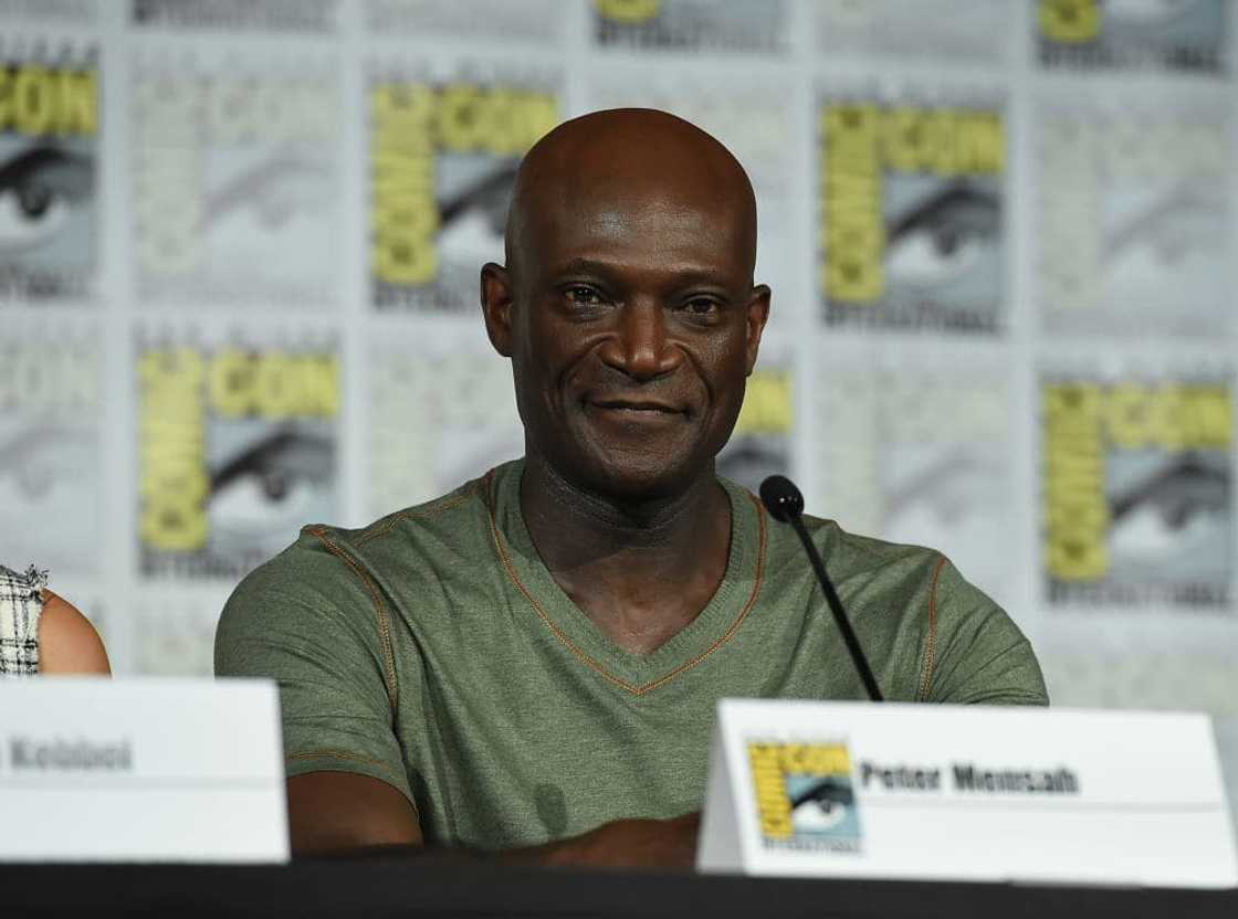 African American actors in Hollywood African American actors in Hollywood
